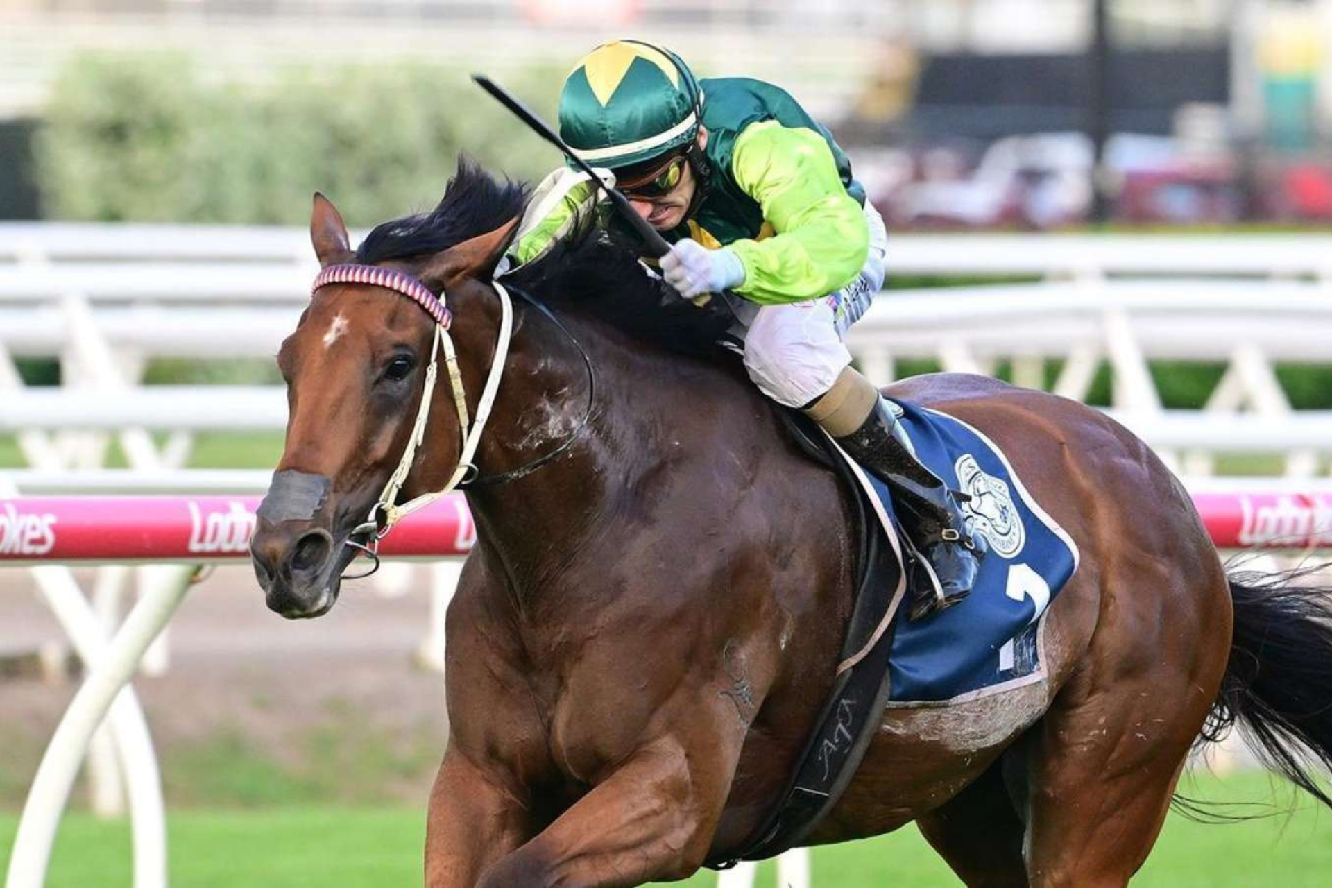 Epsom tilt on the cards for Yellow Brick