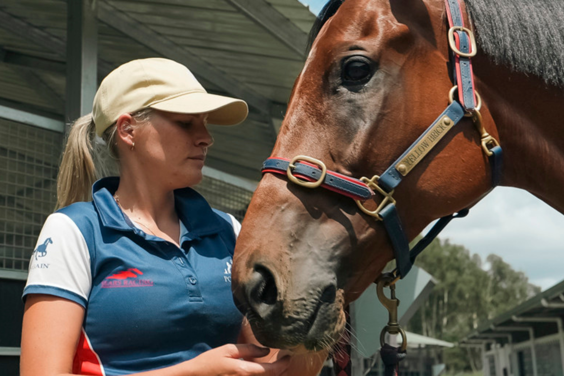 Magic awaits Sears' on the Gold Coast